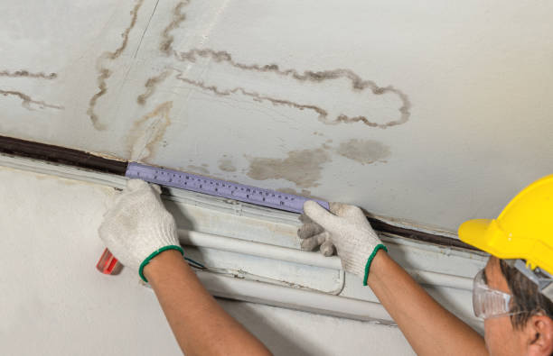Reliable Mold Remediation contractor in Quapaw, OK by Water Damage Irwin